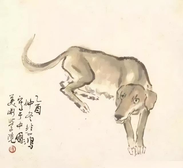 你属什么，就是什么命！难以置信