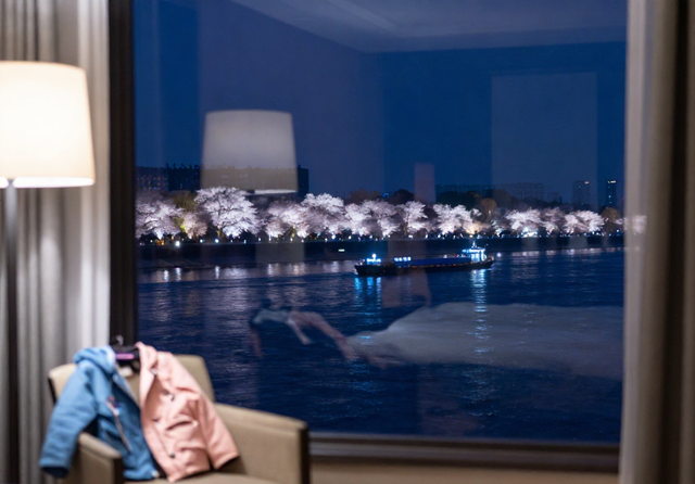 福州又一条免费的滨水樱花长廊，全长约 900 米、堪称榕城春日顶流