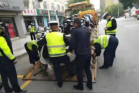 6月起，电动车、三轮、四轮车上路“3罚2禁1报废”新规，车主注意图片