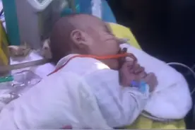 点赞河北 | 广东男婴呼吸衰竭紧急转运北京，河北高速交警接力“狂飙”护送图片