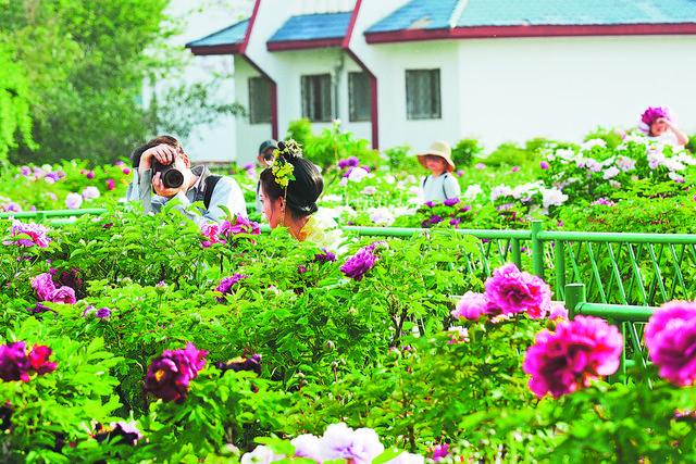 四月菏泽 人间最美的风景——中外游客共赴花事，乐享春日美好时光