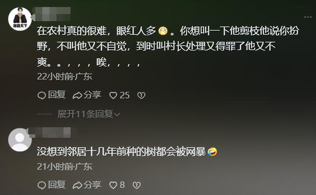 全红婵家盖房后续！邻居终于妥协，常年没人住，评论区风向反转