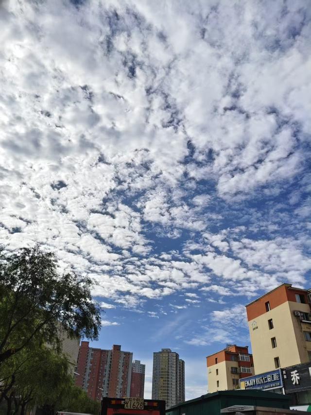 我总结了一下老年夫妻的现状，赶紧来对照一下	，看看有你的影子吗