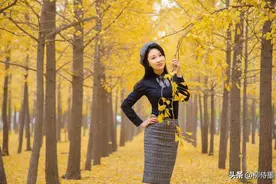 手机拍照有大招，不要忘记打开这个功能，拍人拍景都很美图片