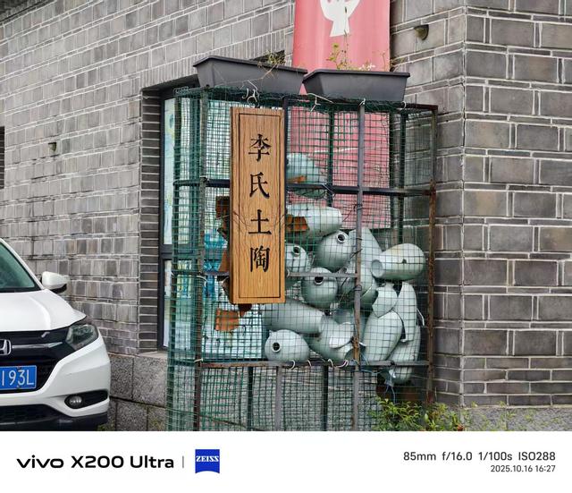 合肥蜀山区：雨中粉黛花、小岭南文化赋美、科大硅谷