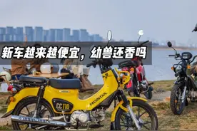 花13000买幼兽的那批人，还是后悔了图片