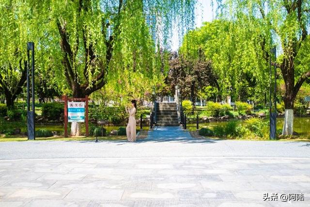 临平世纪公园很漂亮，但一直被杭州人忽视，为什么呢