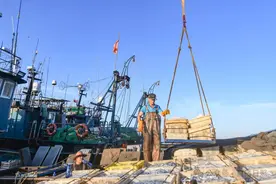 来了！日照出海渔船“第一网”满舱上岸！满眼都是鱼鱼鱼…图片