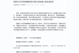 中国游客在澳大利亚无端遭当地青少年殴打、袭击，总领馆发声：涉事人员已被警方锁定，将移送司法程序图片