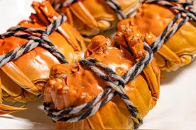 江湖寻“鲜”地图 | “蟹”逅梁子湖图片