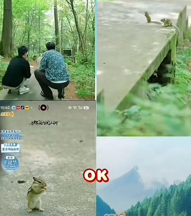 循声而至、点亮山河：一场由董宇辉引领的心灵归乡之旅