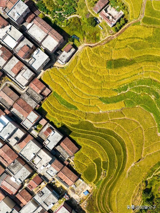 肇庆这里藏着“梯田胜境”,美得不像话!