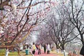 千年孔祖云飞扬——写给彭雪枫将军殉国地河南夏邑图片