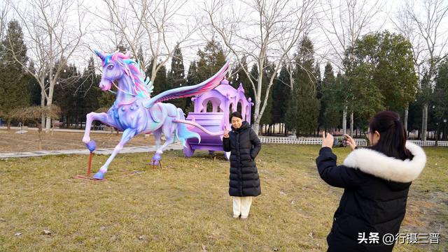 舜帝花海——邂逅一场别具一格的视觉盛宴