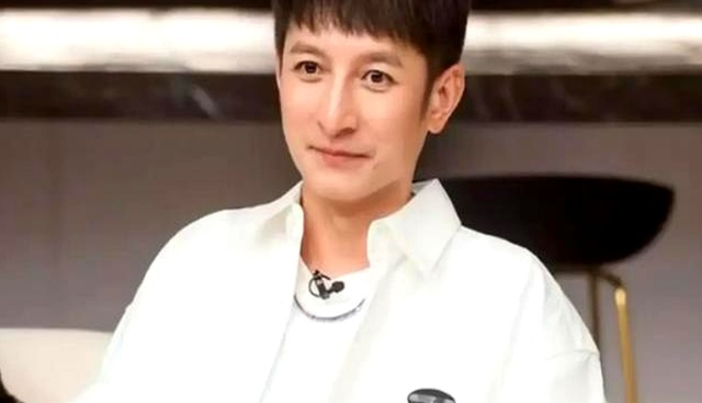 钱再多有什么用？从主持人到“精神病”，48岁李维嘉现状令人唏嘘