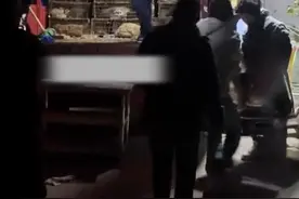 又是一年冬来到，吃狗肉之风何时能停止？图片