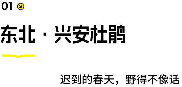 还没结束的花事，槽点太多了！
