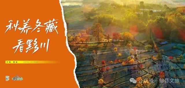 全域愈心·秋养冬藏看黟川 | 黟县秋冬出行全时指南！