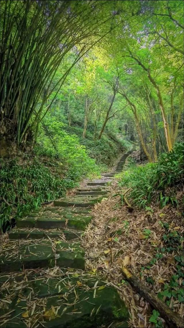重庆沙坪坝发现神秘洞府，满壁文字暗藏玄机，主人疑是避世高人