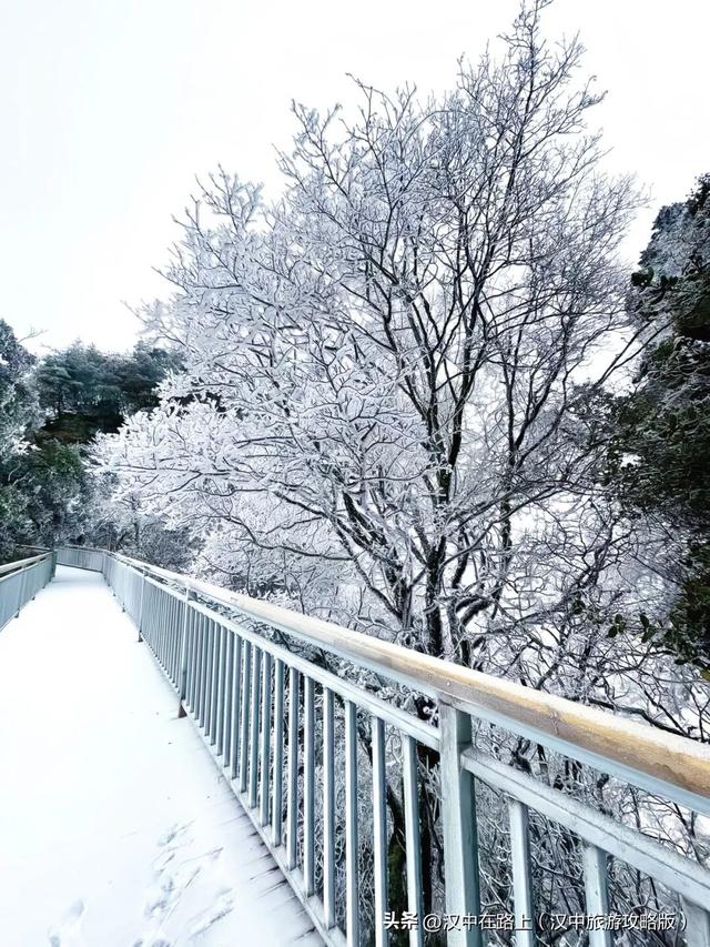 草川子下雪雪雪啦！九鼎山的雪景真的不可错过~