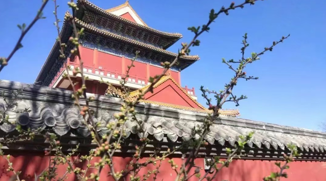 何处不是浪浪山？东平湖景区邀你：来这里，把日子浸成湖风里的诗