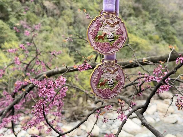 徒步阴平古道，艳遇紫荆繁花｜千年古道万亩紫荆待君来