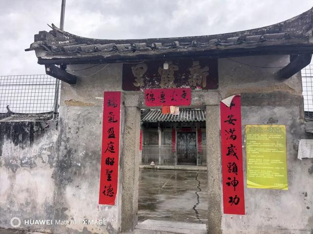 凤凰花开，一半热烈，一半温柔