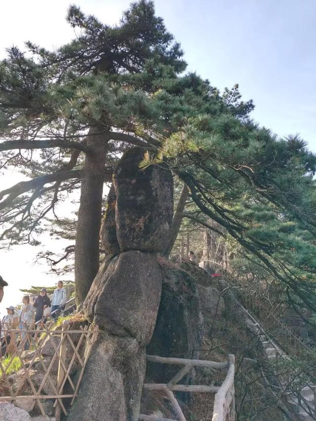 漫步黄山松掩山丛树杪，云隐仙踪徒步蹬道千阶