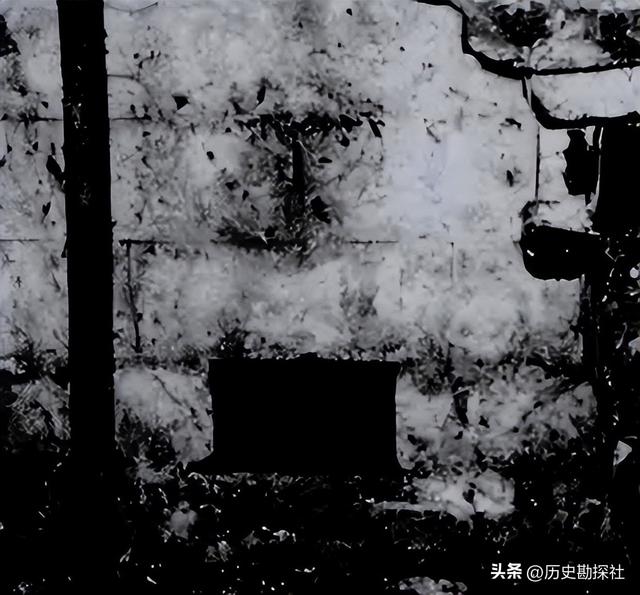 1928年，慈禧尸体被孙殿英的士兵侮辱后，尸体上为何长满白毛？