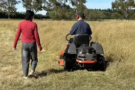 割草，也是一门技能图片