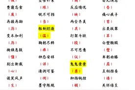 语文基础知识及答题技巧手册图片