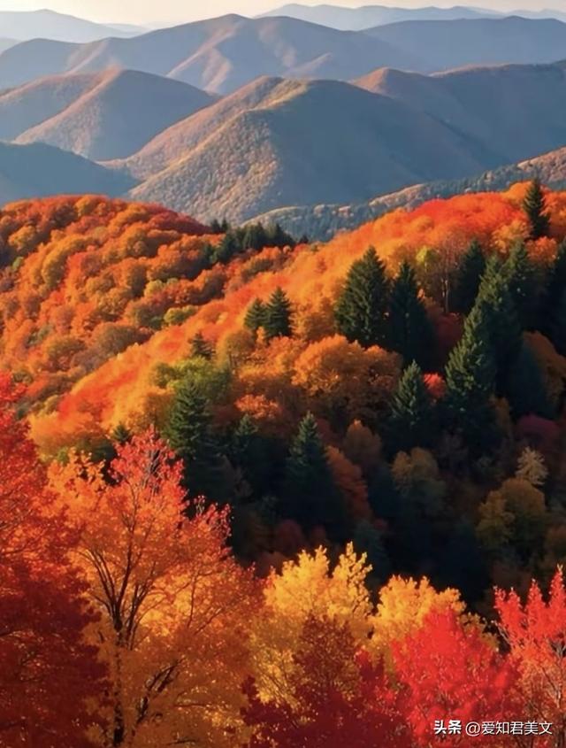 十一月，赴一场深秋之约