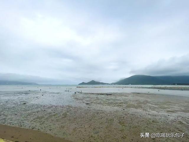 深圳2025年6月，赶海退潮时间