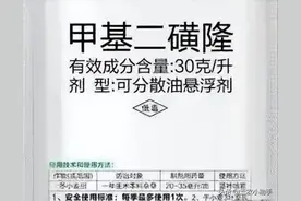 小麦除草剂：甲基二磺隆的使用方法和注意事项图片