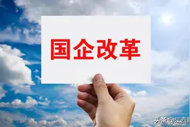 江西宜春：全力推进市属国企战略性重组与专业化整合图片