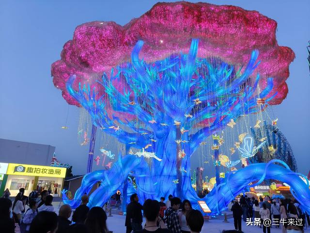 无为在歧路，淄博花灯齐彩城免票