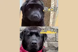 来看看大家上班的“班味”有多严重，网友回复，太真实了图片