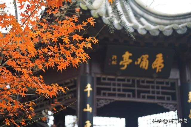 南京此地的秋意拉满了，不是栖霞山！