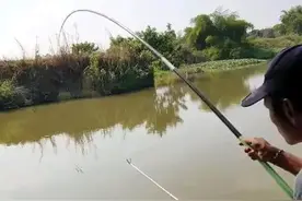 禁渔期今晚结束 注意还不能“敞欢”!图片