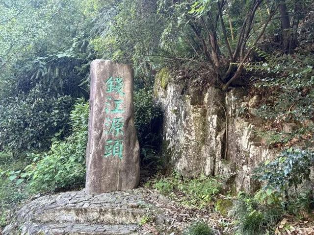 21.7℃的夏天！天目山麓藏了个“神仙村落”丨包个村子避暑去⑧