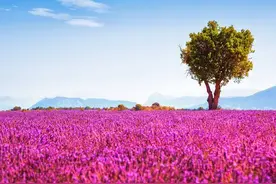 男女酒后想你的区别！图片