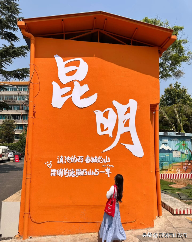 金色滇朴已上线！西山这份独属的浪漫美成昆明冬日封面