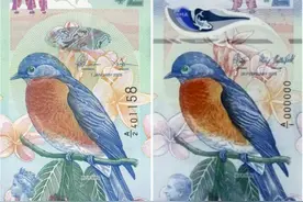 10月份，全球共发行了哪些新钞？图片