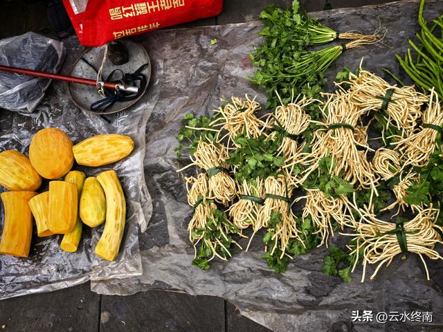 没有去过川陕交界这个城市的早市，就不能触摸这个城市的灵魂