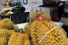 20多元一斤，还要降！“榴莲自由”安排上了图片