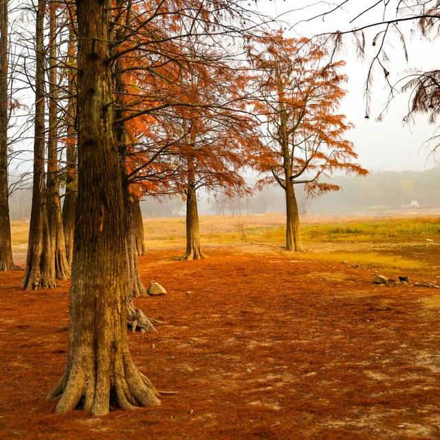 一眼心动的黟县：从天空之镜到落日霞光的全景漫游