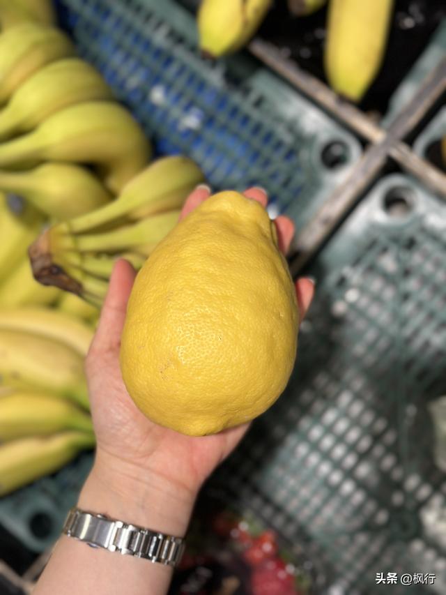 十年两刷意大利，南意根本不在乎米其林，他们只在乎番茄够不够酸