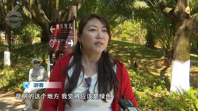 “Color Walk”火了!在昆明,用颜色解锁一座城