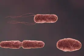 小伤口，要当心！忽略恐成“大问题”图片