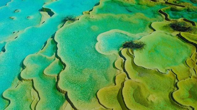 一泡尿“毁”了全家！男童尿进黄龙彩池，景区硬气通报：永久禁入